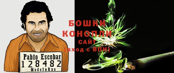 PSILOCYBIN Дмитриев
